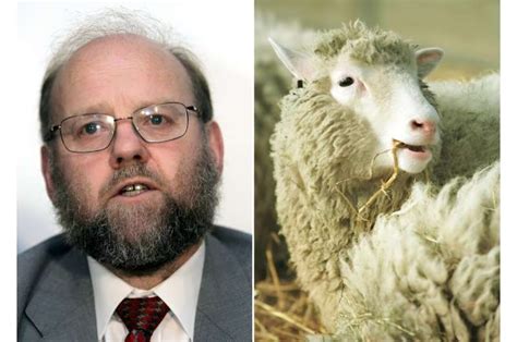 Ian Wilmut dies at 79; British scientist led team that cloned Dolly the sheep